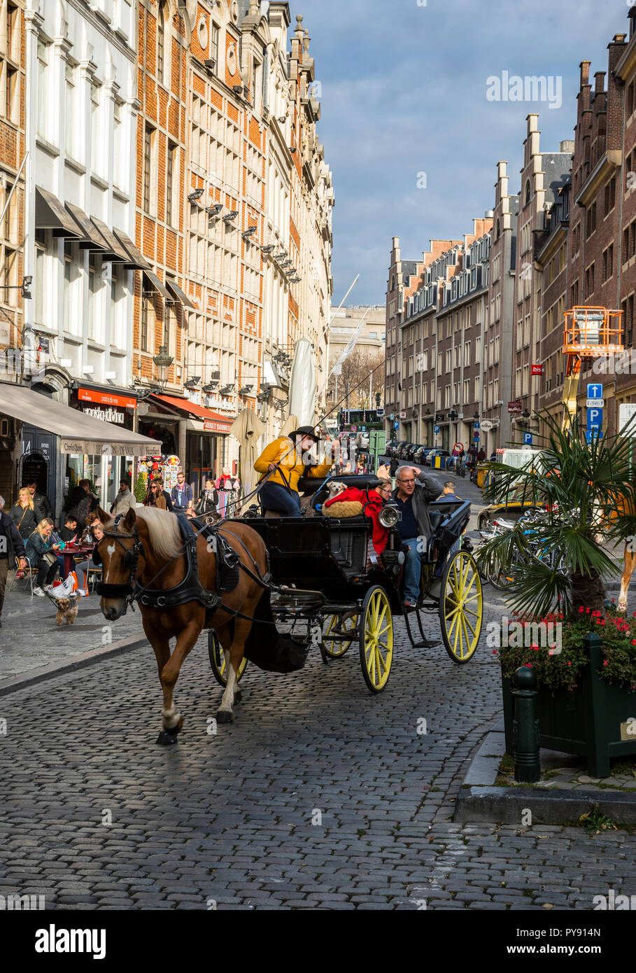 Carrozza a cavallo nelle strade di Bruxelles, attrazione turistica Foto Stock