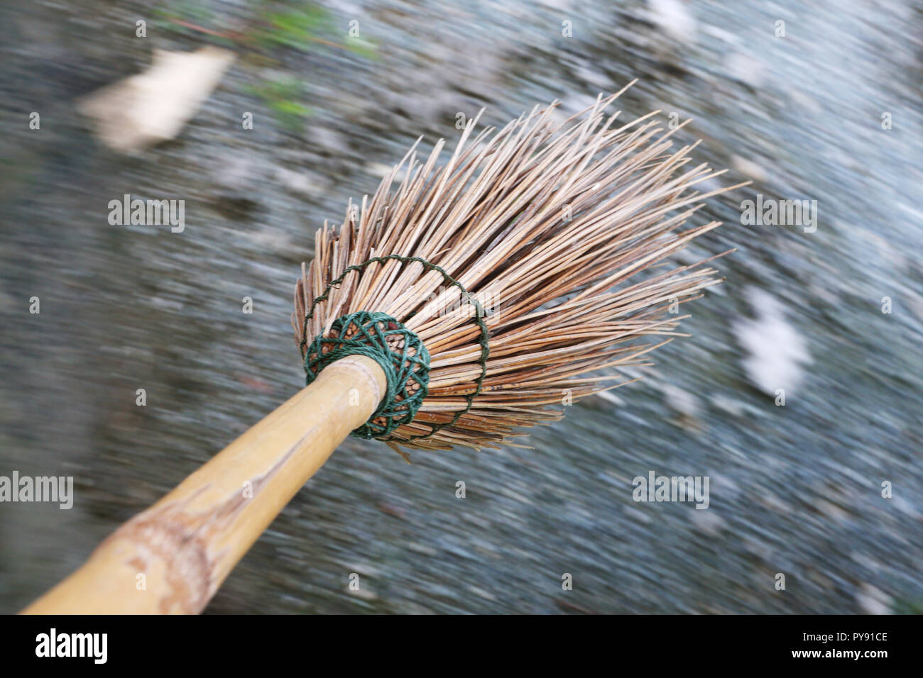 Foglie di noce di cocco ginestra mobile al di sopra della massa Foto Stock