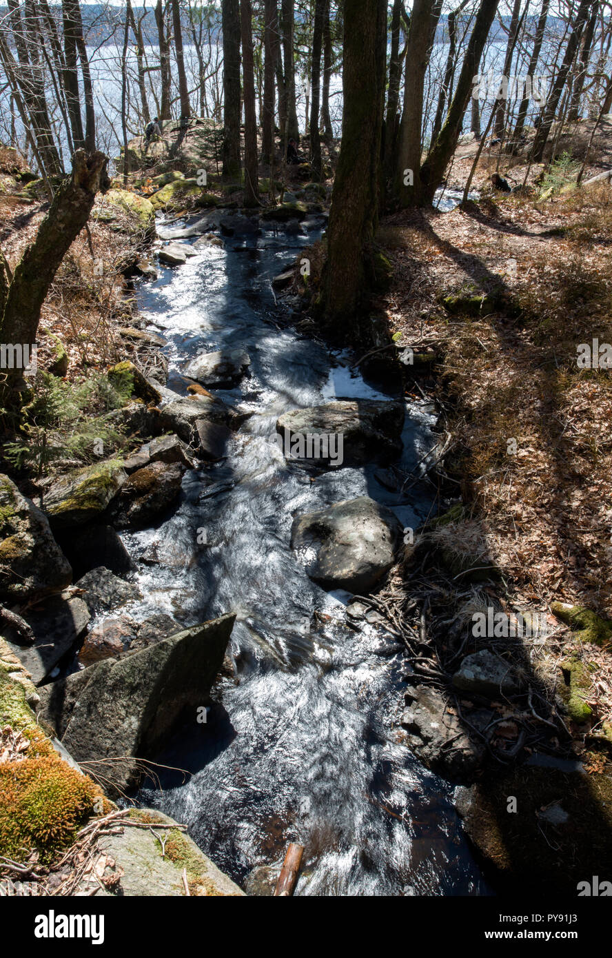 Una cascata è un luogo dove l'acqua scorre su una caduta verticale o una serie di ripide cadute nel corso di un ruscello o fiume. Le cascate si verificano anche quando Foto Stock