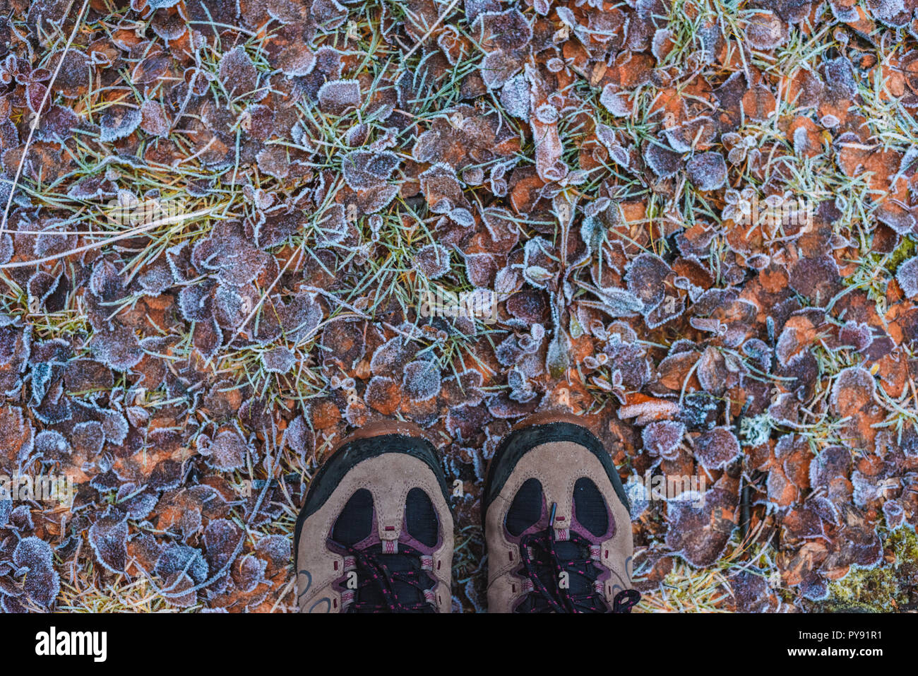 Disegno da caduta foglie in brina con scarpe turistiche tardo autunno Foto Stock
