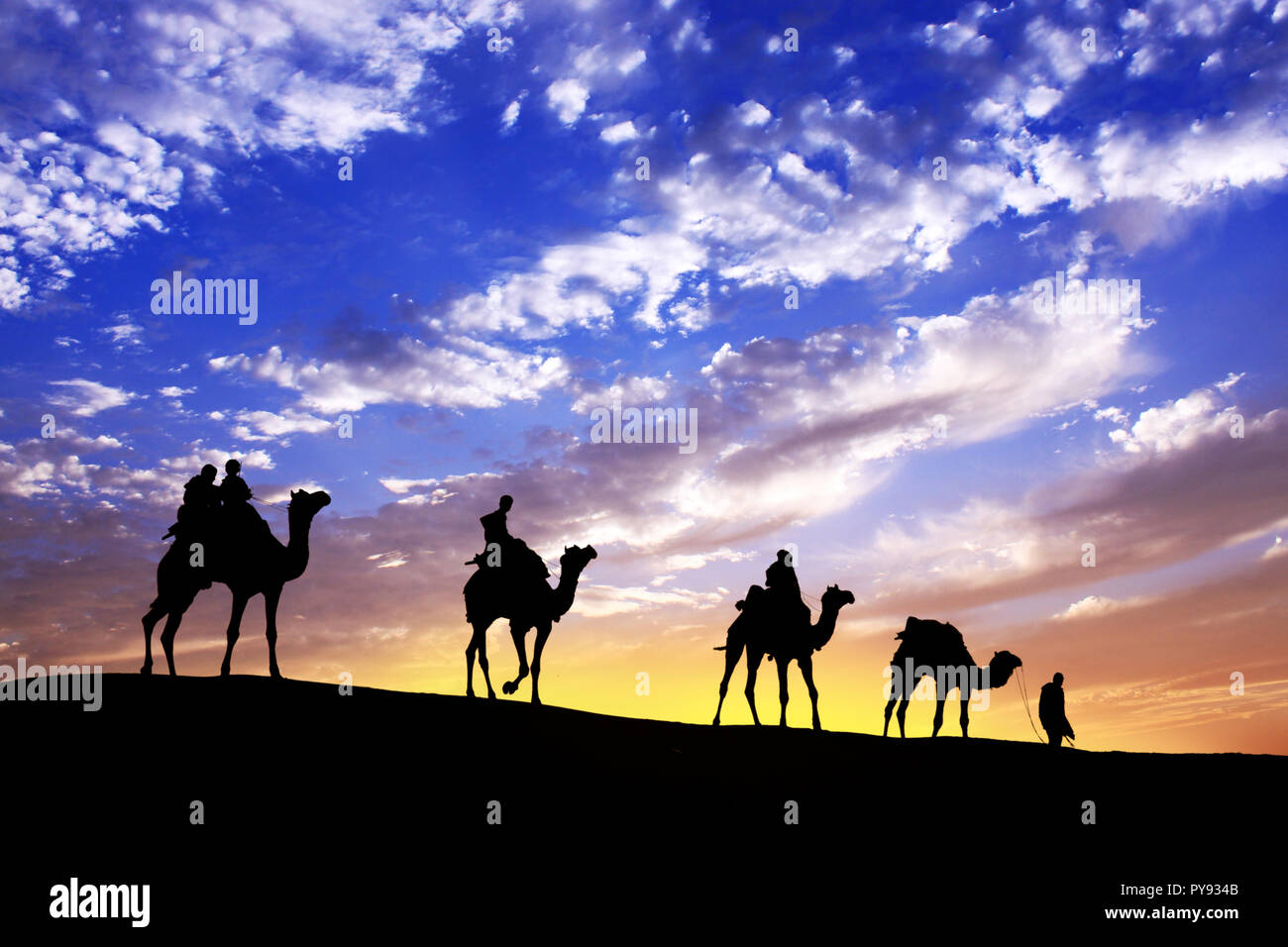 Caravan a piedi con cammello attraverso il deserto di Thar in India, mostrano silhouette e drammatico sky Foto Stock