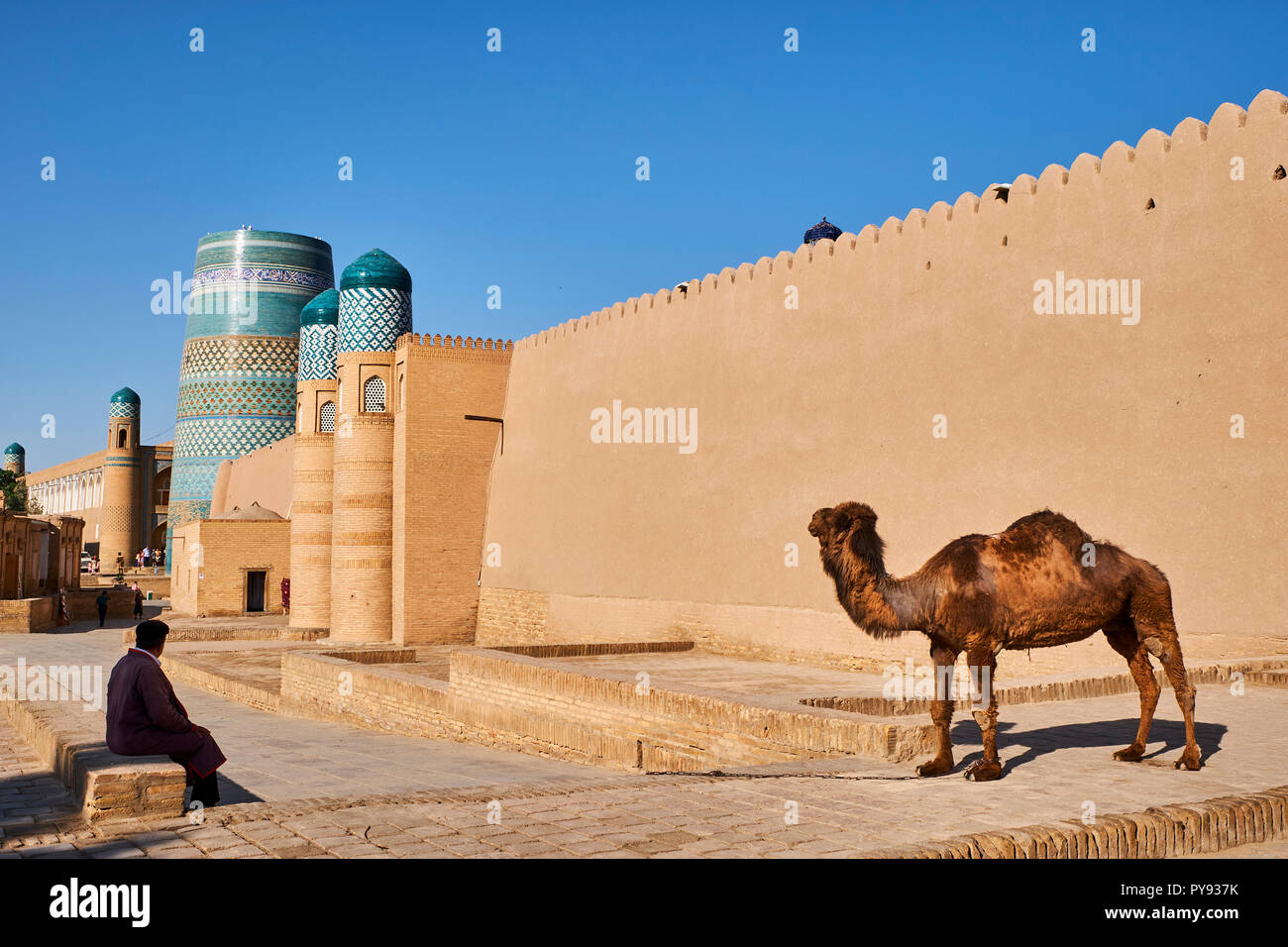 Uzbekistan, Khiva, Patrimonio Mondiale dell Unesco, Kalta Minar Foto Stock