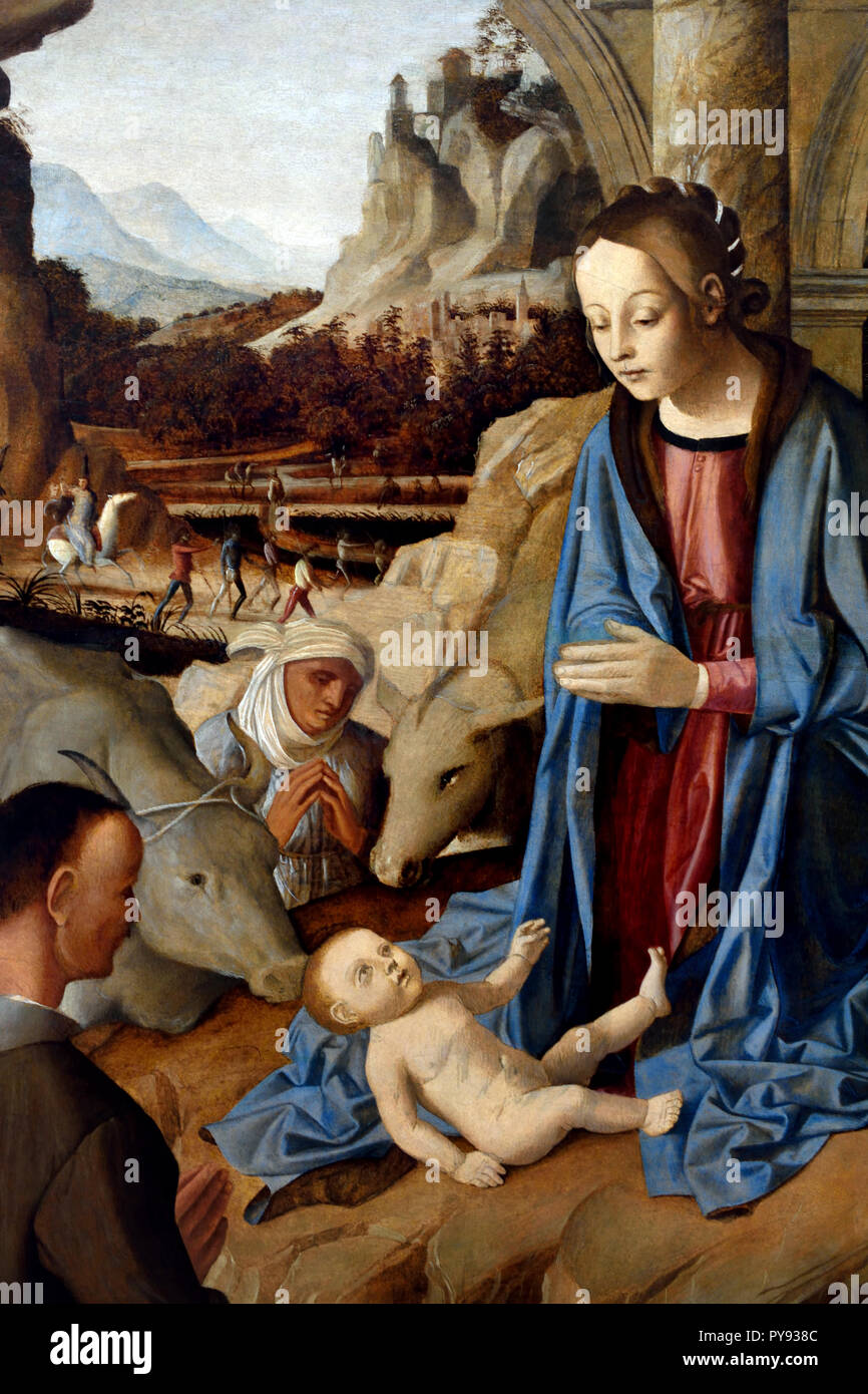 L adorazione del pastore 1520 Marco Palmezzano 1459-1539 15-16Secolo, Italia, italiano. Foto Stock