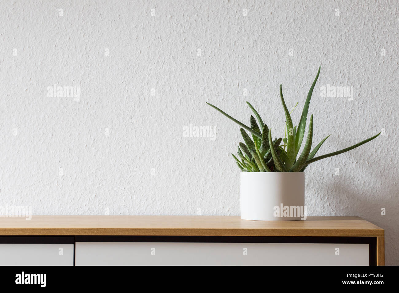 Agave in bianco sulla pentola Moderna credenza in legno Foto Stock