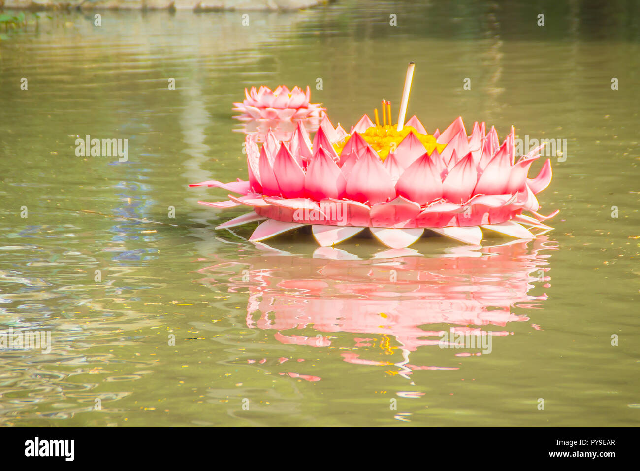 Di un bel colore rosa kratong galleggia sull'acqua. Per Conccept loy kratongs festival celebrato in Thailandia. Foto Stock