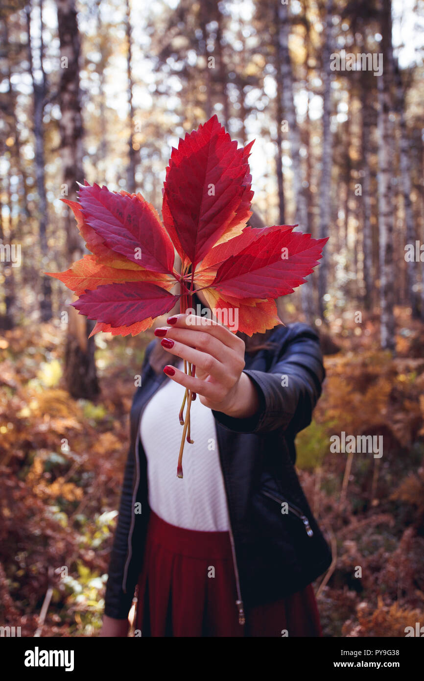 Giovane e bella ragazza felice con un rosso brillante Foglie di autunno nel parco o sulla foresta, Autumn Fall concetto, foglie di autunno nelle mani di ragazza Foto Stock