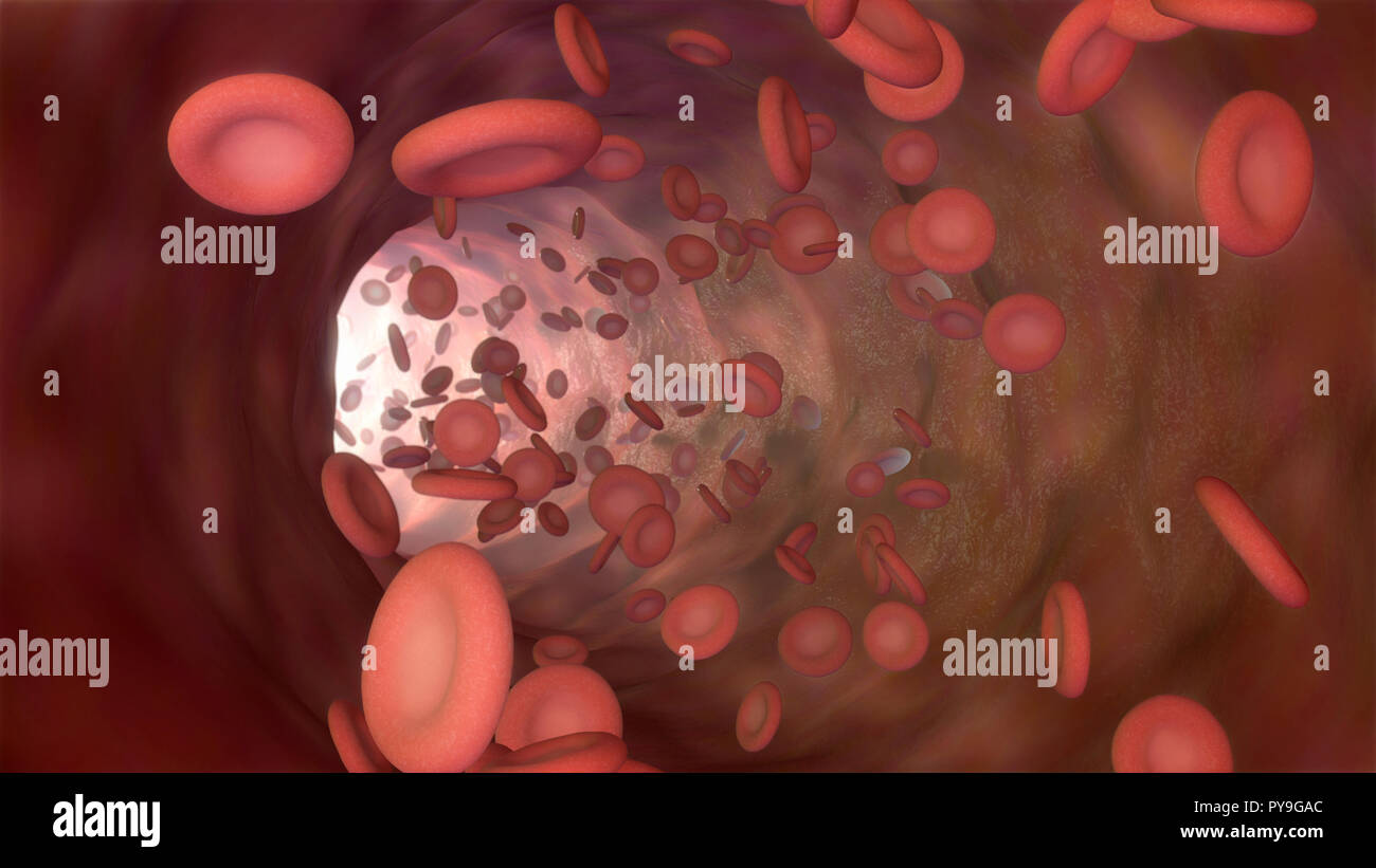 3D illustrazione di un flusso sanguigno con cella rossa bianco in piastrine e cellule Foto Stock