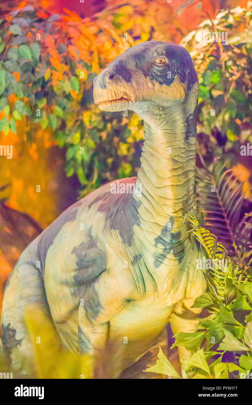 Modello di cute di Iguanodon dinosauro al museo pubblico. Iguanodon è un genere di dinosauro ornithopod che a metà strada tra la swift bipedi hypsilophodo Foto Stock