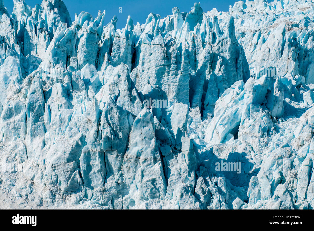 Holgate Glacier, Harding Icefield, il Parco nazionale di Kenai Fjords, Alaska, Stati Uniti d'America. Foto Stock