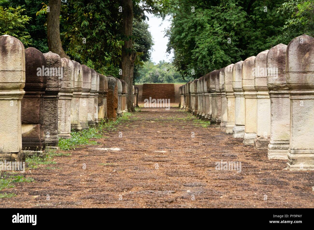 Laterite tratto lastricato in pietra con pali in pietra alle porte dell' antico tempio Khmer Prasat Sdok Kok Thom in Sa Kaeo provincia della Thailandia Foto Stock