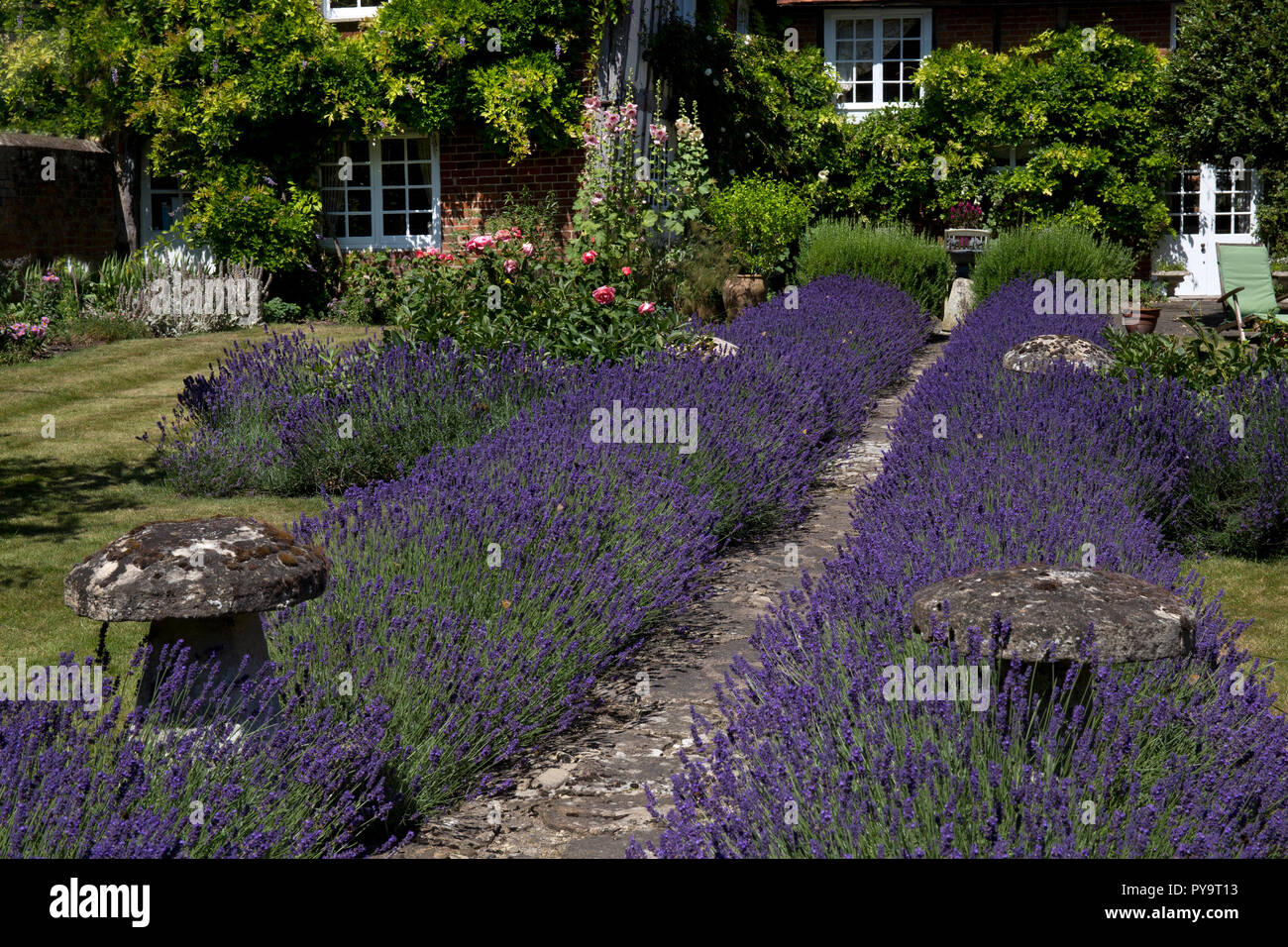 Giardino alberato di percorso con la lavanda in Giardino Inglese,l'Inghilterra,l'Europa Foto Stock