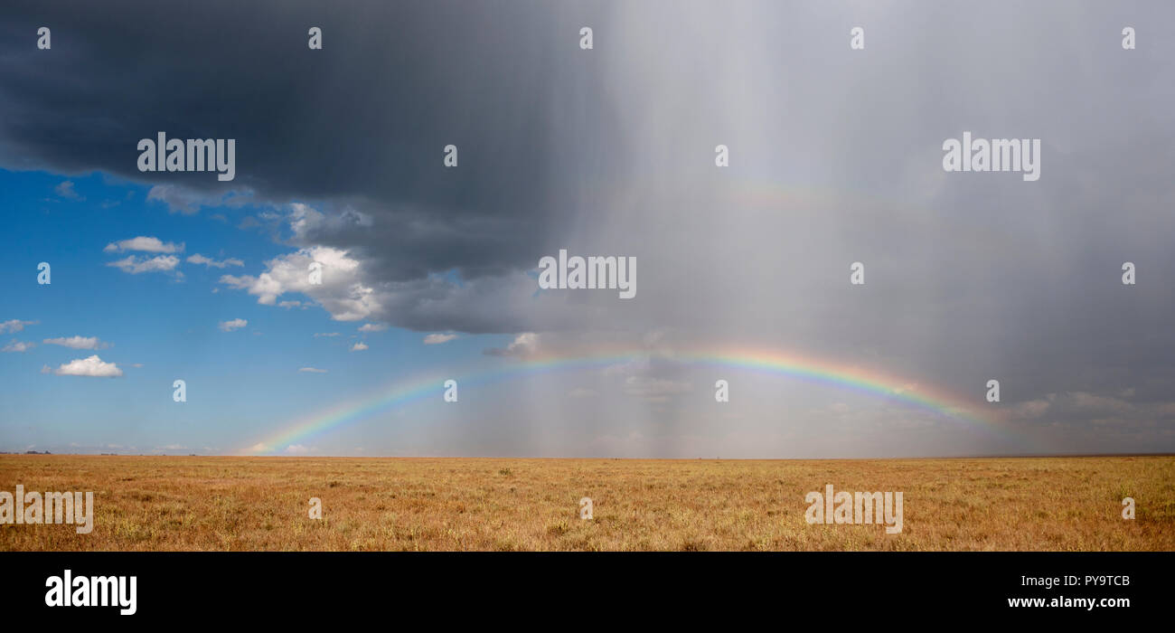 Rainbow presso il Parco Nazionale del Serengeti, Tanzania Africa Foto Stock