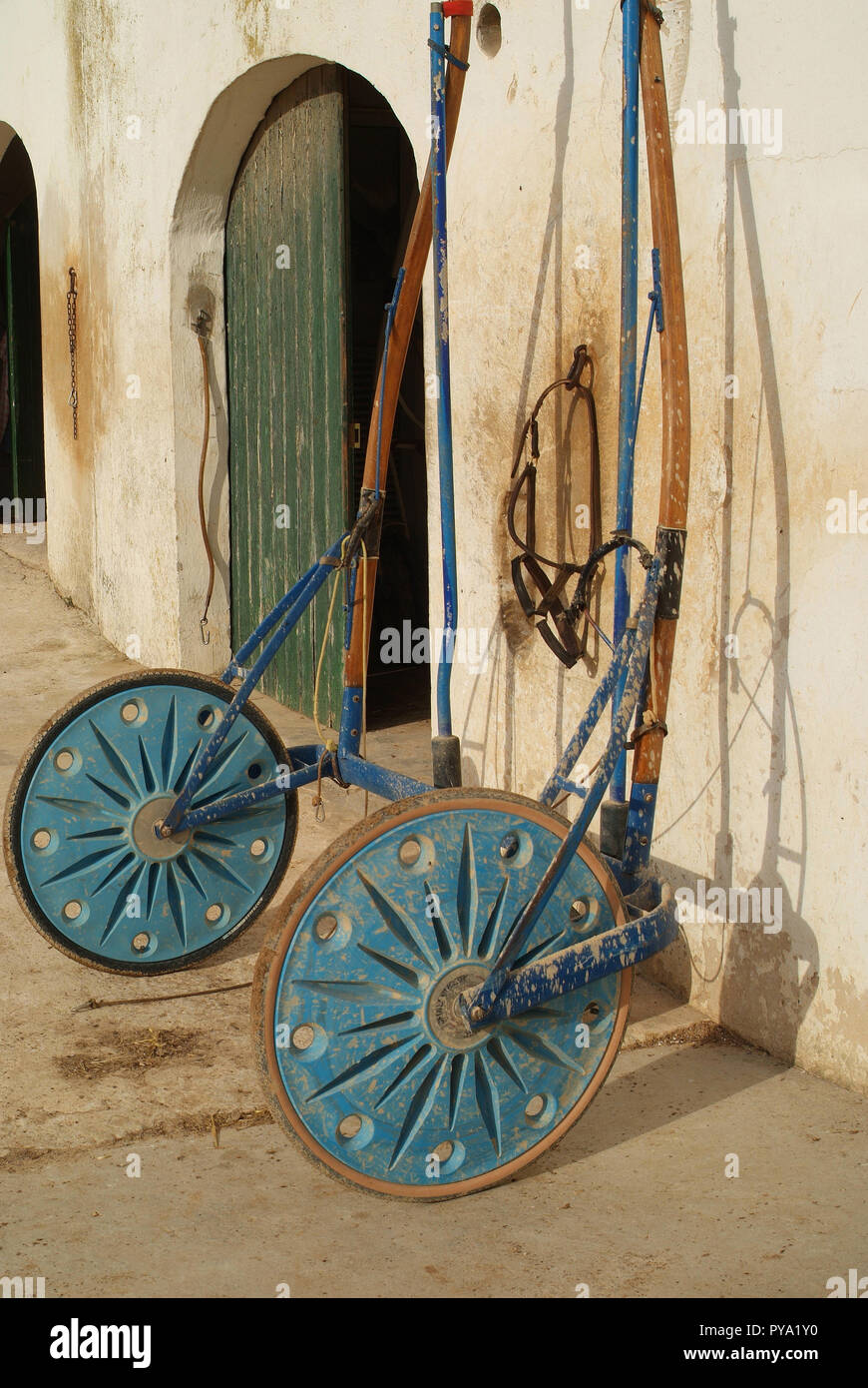 Trotting cavallo da corsa carro (cart, ragno, gig o sulky) fuori di una porta stabile prima di una gara a Hipodromo, Sant Lluis, Mahon, Menorca, Spagna Foto Stock