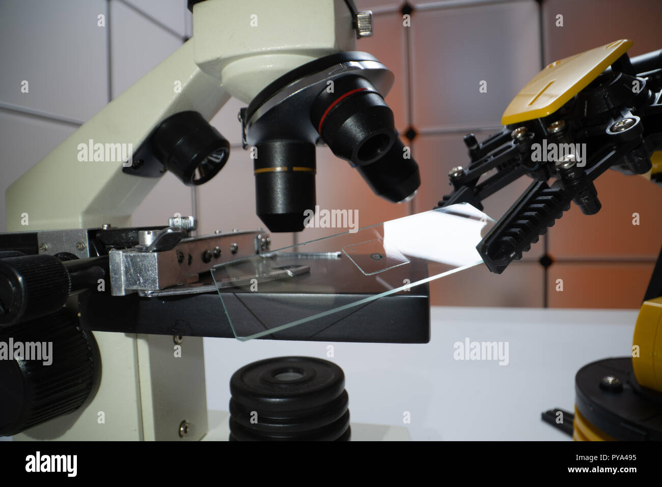 Vetrini per microscopio in braccio di robot e la scienza microscopio Foto Stock