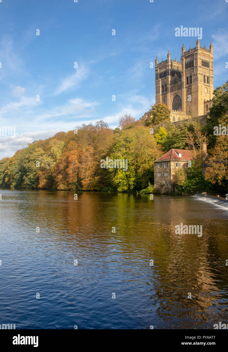 La Cattedrale di Durham in autunno Foto Stock