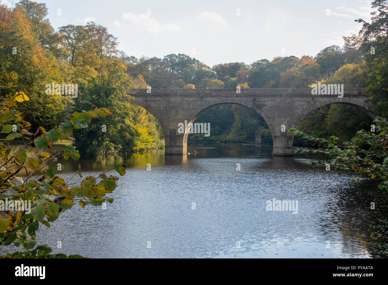 Prebends Bridge in autunno Foto Stock