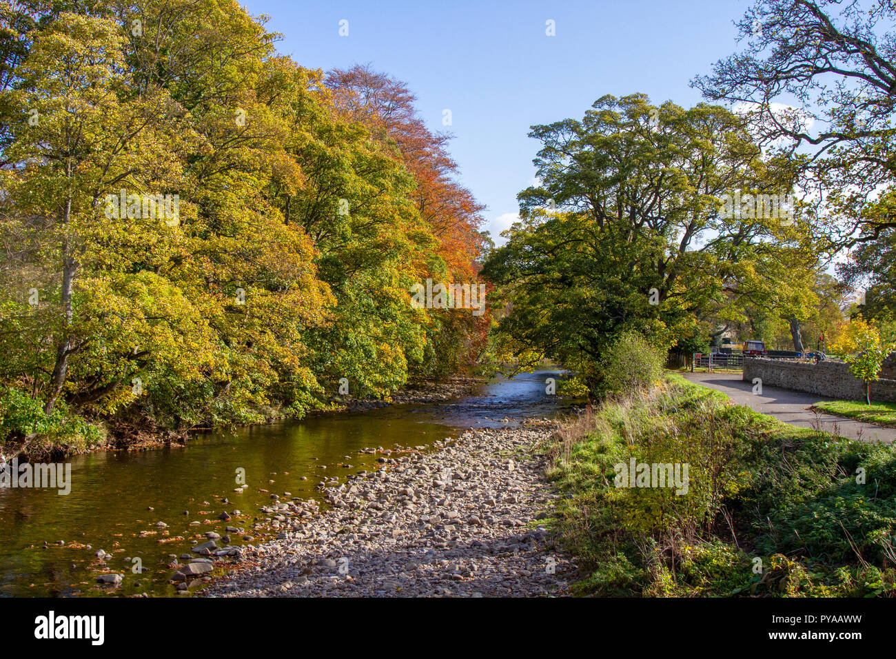 Usura del fiume a Stanhope in autunno Foto Stock