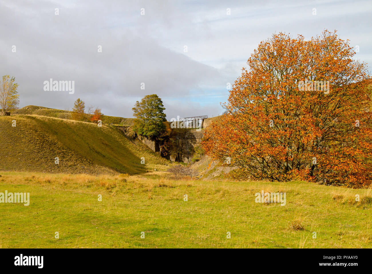 Ceneri cava, Stanhope in autunno Foto Stock