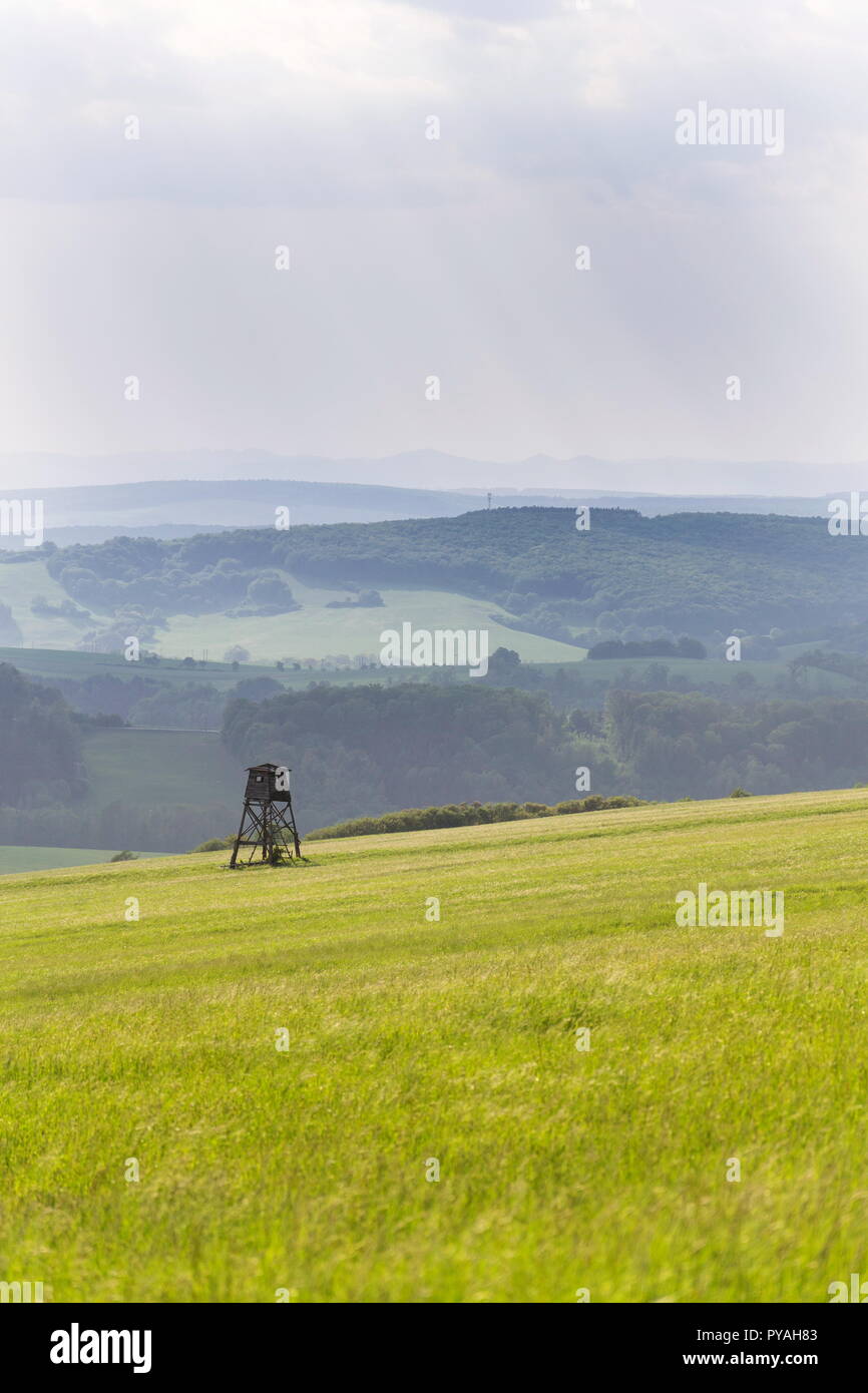 Cavalletto di cervi, cacciatori di legno seduta alta nascondi sul campo, giorno di estate, nuvoloso cielo drammatico, Bojkovice, Uherske Hradiste distretto, regione di Zlin, Carpathi bianco Foto Stock