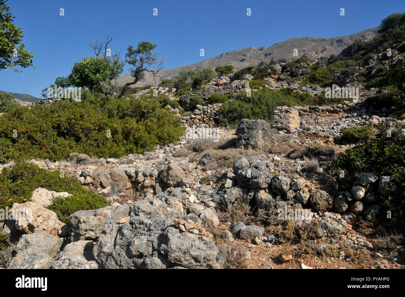 Vacanze a Creta - Voyage en Crète Foto Stock