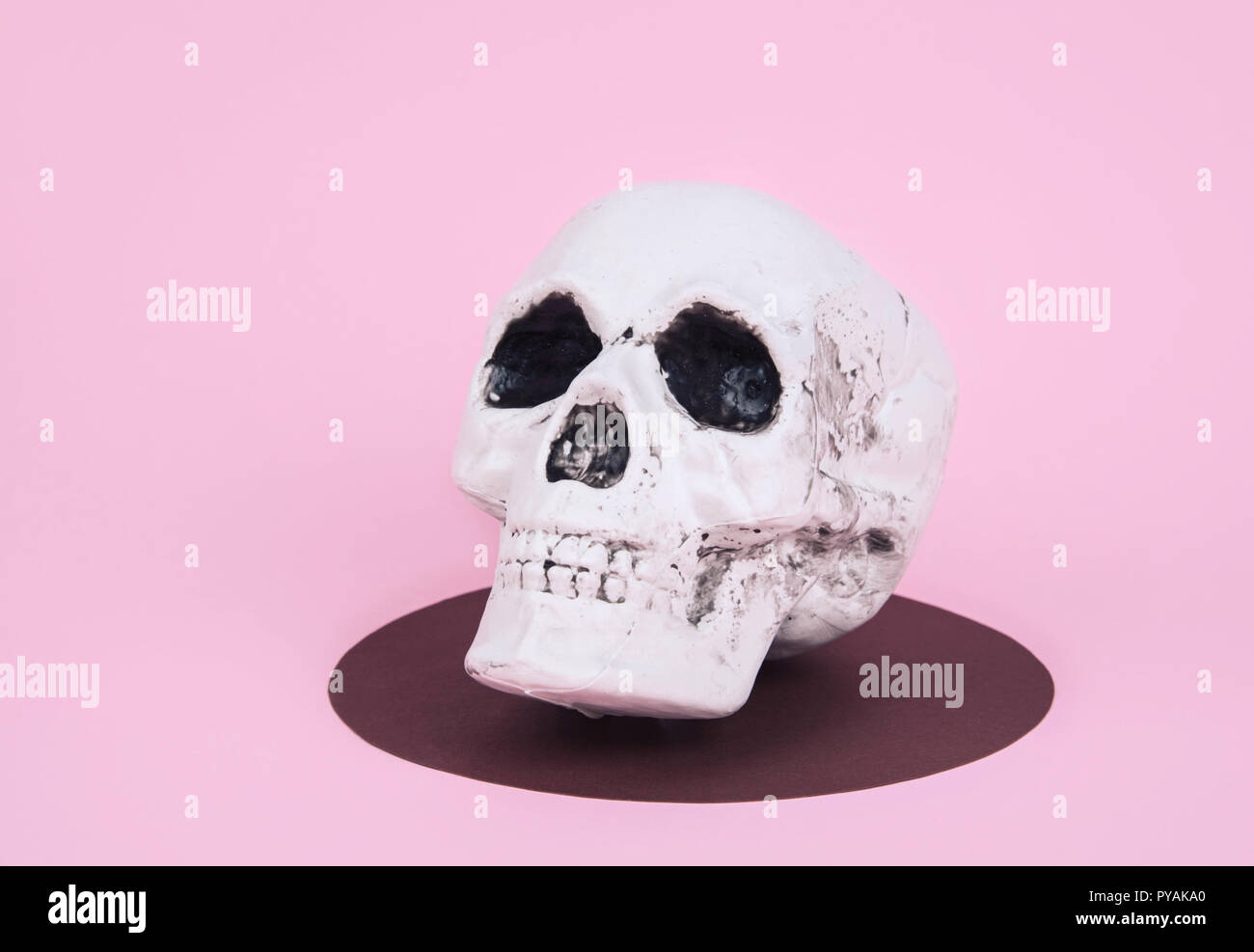 Teschio sul trendy rosa pastello sfondo. Creative concetto di Halloween. Foto Stock