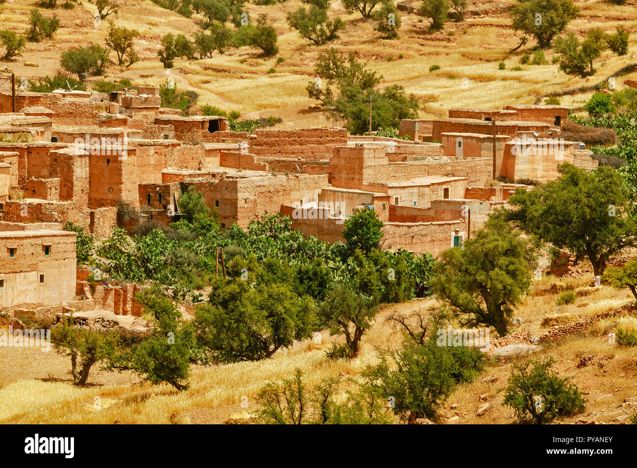 Il Marocco SOUS valle rurale di un borgo collinare circondato da terrazze di grano Foto Stock