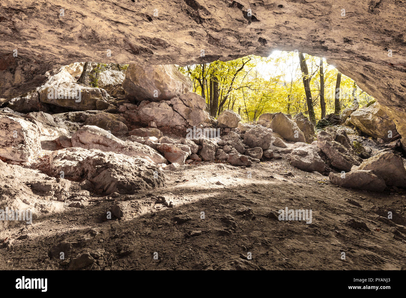 Steinerner Stadl: a calce naturale ponte di pietra da una grotta collassata. Austria inferiore Foto Stock