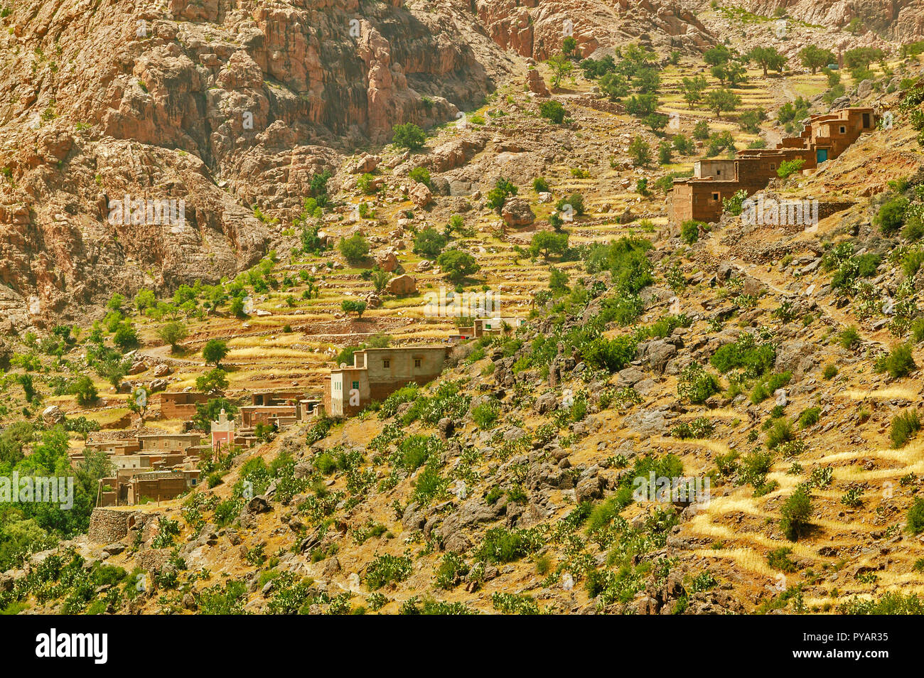 Il Marocco SOUS VALLEY frumento borgo collinare e la moschea di coltivazione di grano su piccole terrazze Foto Stock