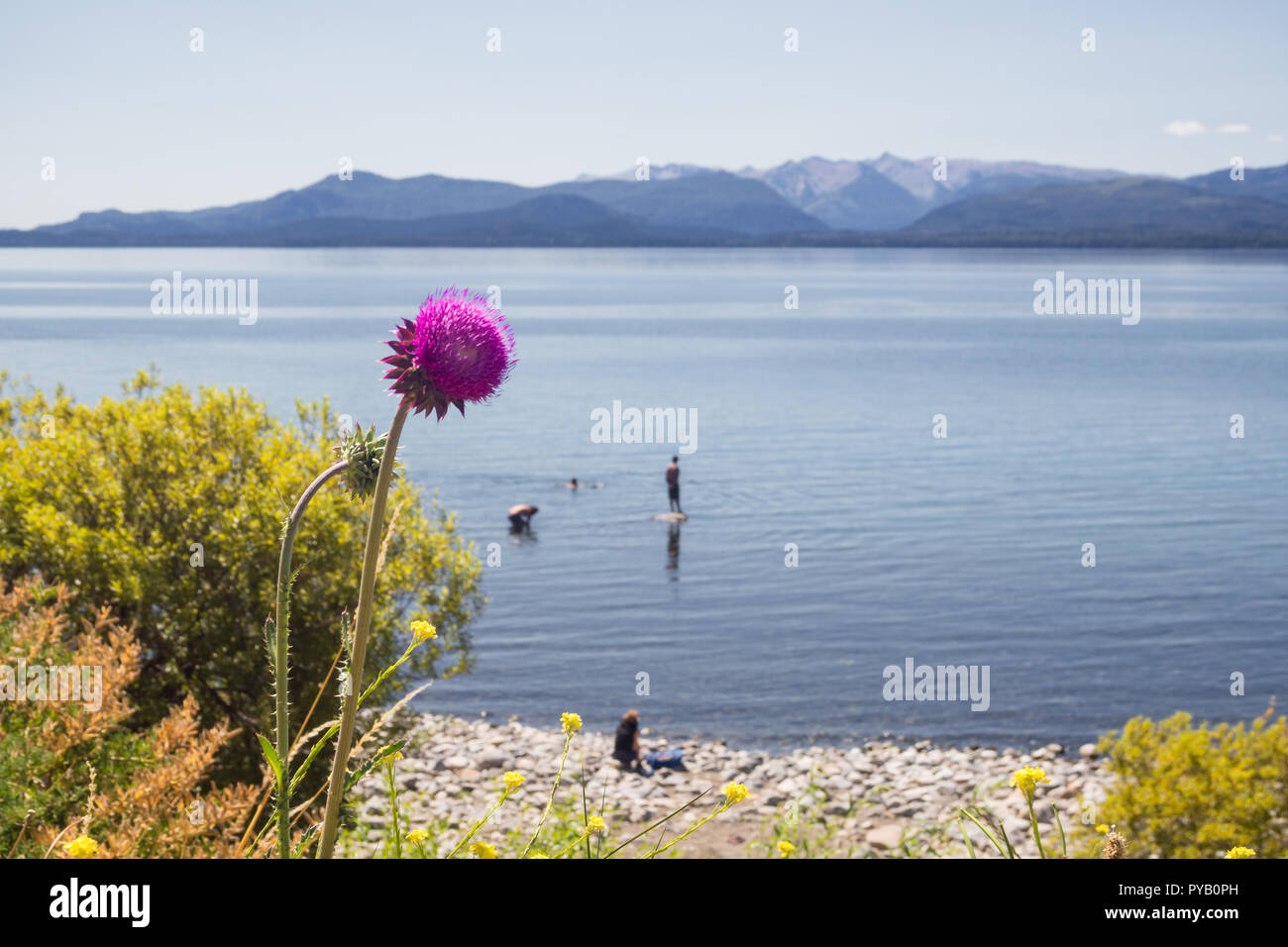 Paesaggio panoramico del Nahuel Huapi lago vicino a San Carlos de Bariloche, Argentina. Sud Argentina Foto Stock