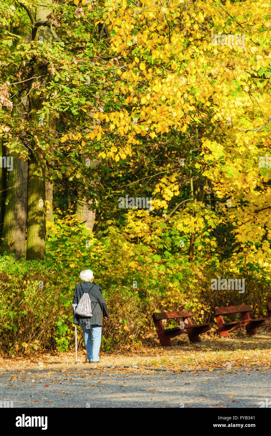 Vecchia persona guardando a colori d'autunno gli alberi del parco Foto Stock