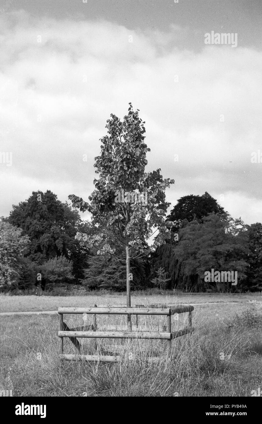 Cookham, Berkshire. Regno Unito. Viste generali, Foto Stock