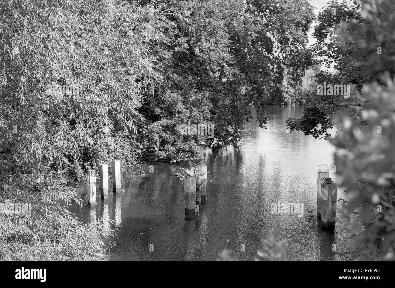 Cookham, Berkshire. Regno Unito. Viste generali, ombreggiato Fiume Tamigi, ingresso, Foto Stock