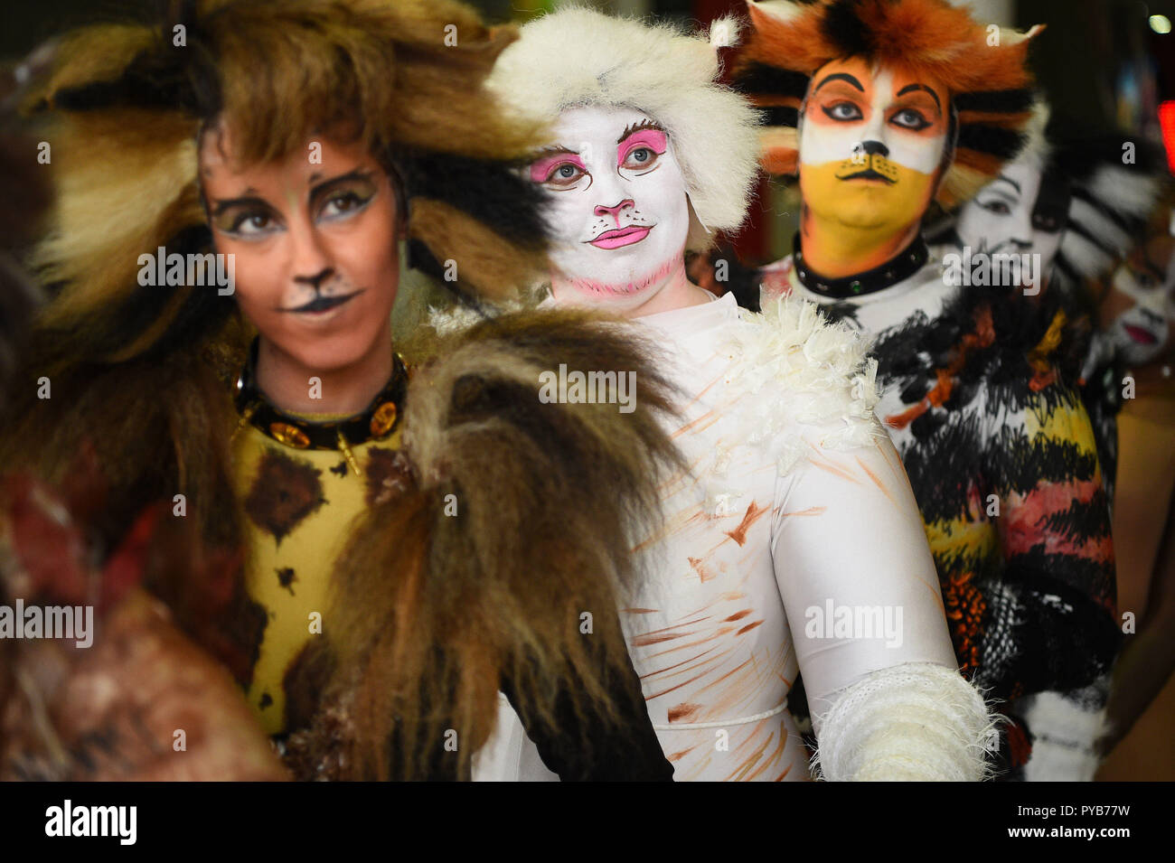 Cosplayers vestito come gatti al London Comic Con presso l'ExCel di Londra. Foto Stock