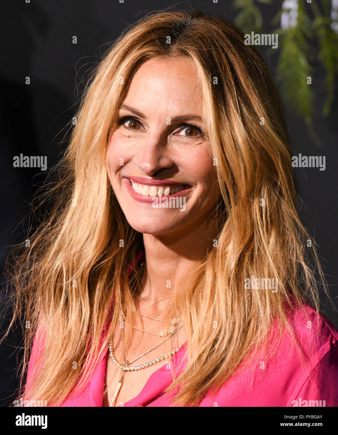 Westwood, CA, Stati Uniti d'America. 24 ott 2018. 24 Ottobre 2018 - Westwood, California - Julia Roberts. Amazon Studios' ''Homecoming " Los Angeles Premiere detenute al Regency Bruin Theatre. Photo credit: Billy Bennight/AdMedia Credito: Billy Bennight/AdMedia/ZUMA filo/Alamy Live News Foto Stock