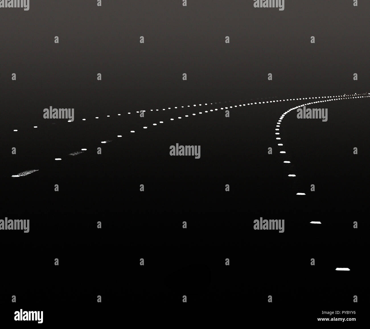 occhio di gatti Foto Stock