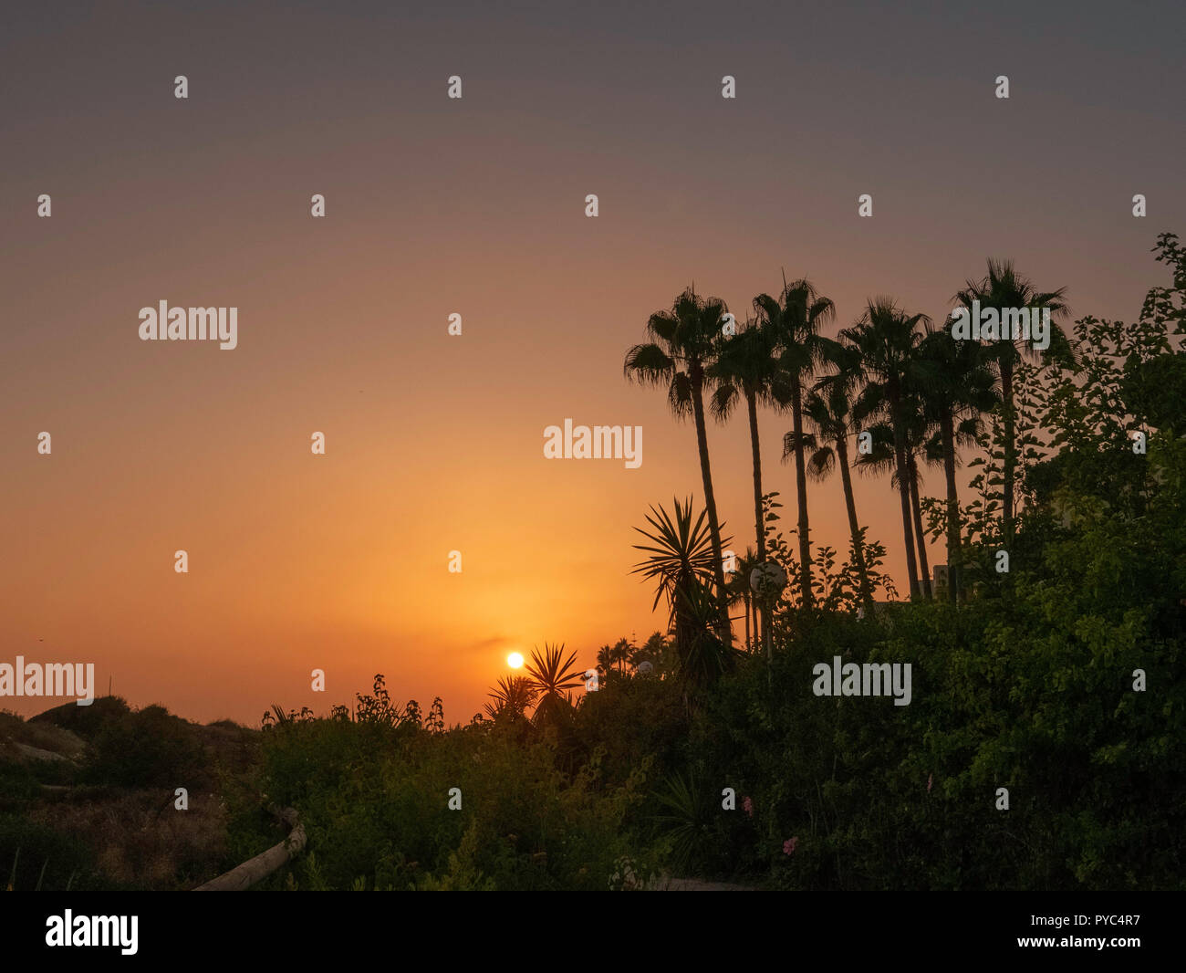Tramonto su una riserva naturale in Elviria Spagna. Foto Stock