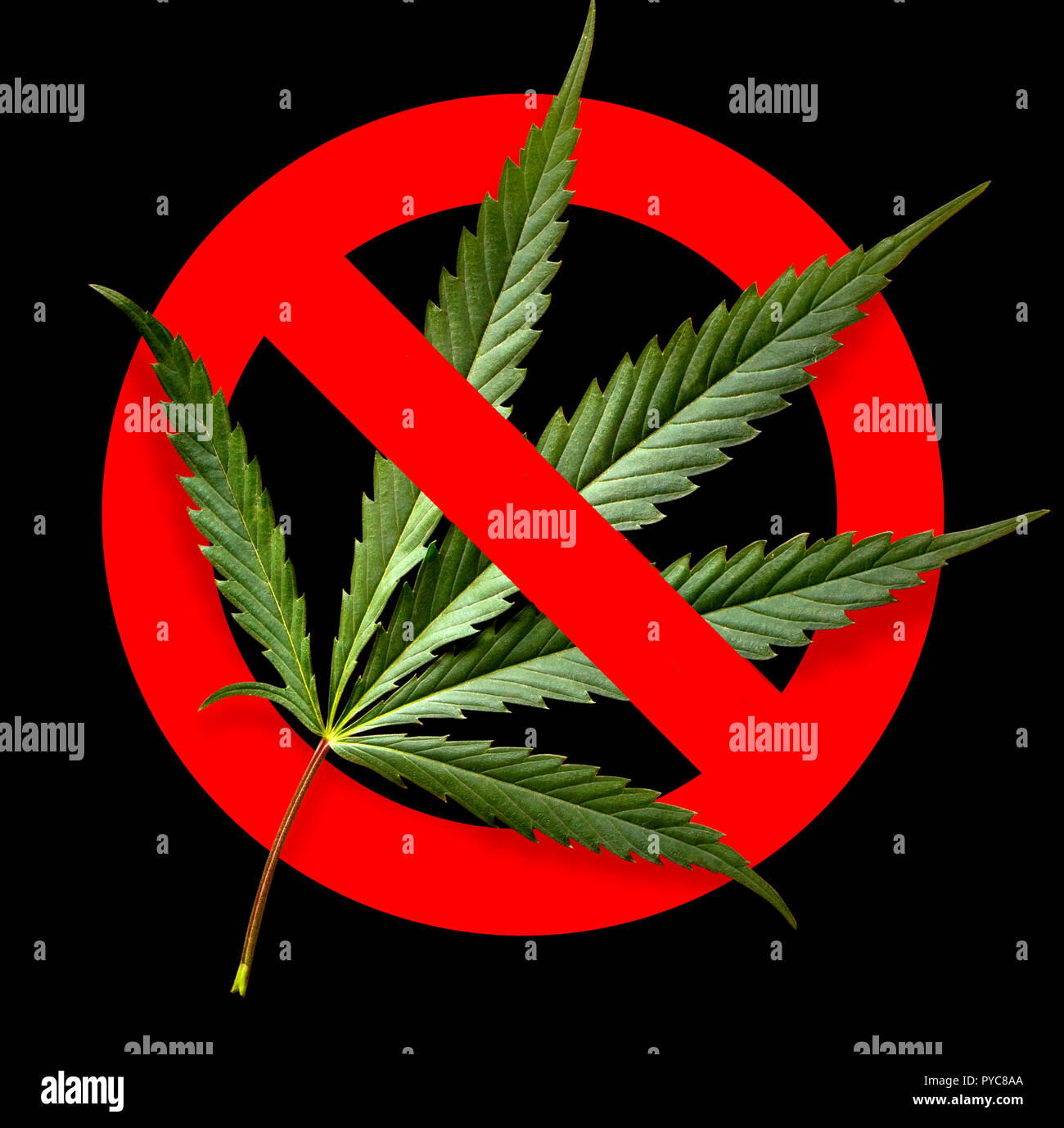 NO marijuana segno simbolico cerchio rosso foglia verde su sfondo nero Foto Stock
