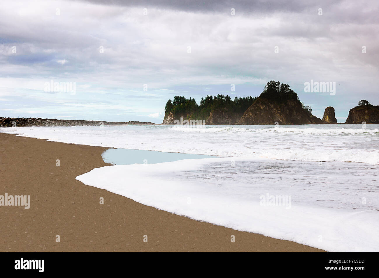 Rialto Beach, Parco Nazionale di Olympic, Washington, Stati Uniti d'America Foto Stock