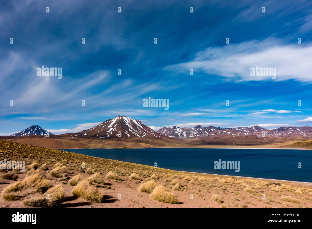 Il paesaggio mozzafiato del lago Miscanti in alto Ande vicino a San Pedro de Atacama, una destinazione di viaggio nel nord del Cile in Sud America Foto Stock