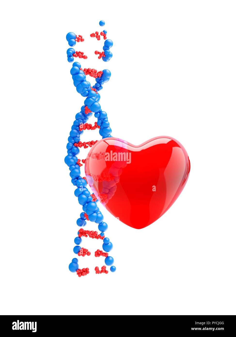 Modello 3d il filamento di DNA con cuore rosso, illustrazione. Foto Stock