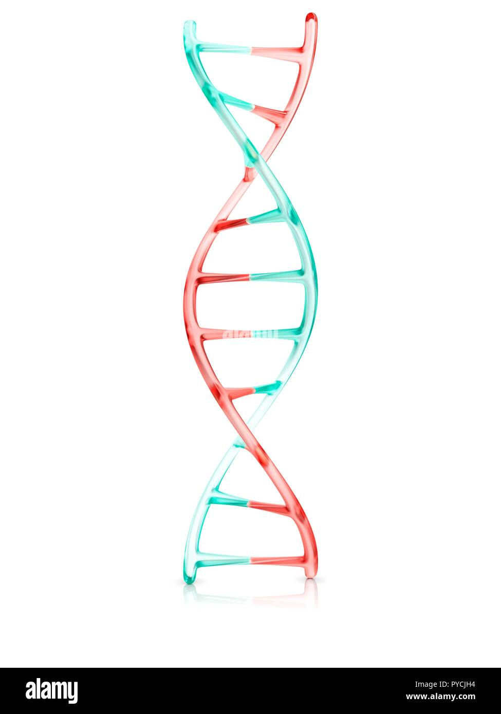 Molecola di DNA su sfondo bianco, illustrazione. Foto Stock