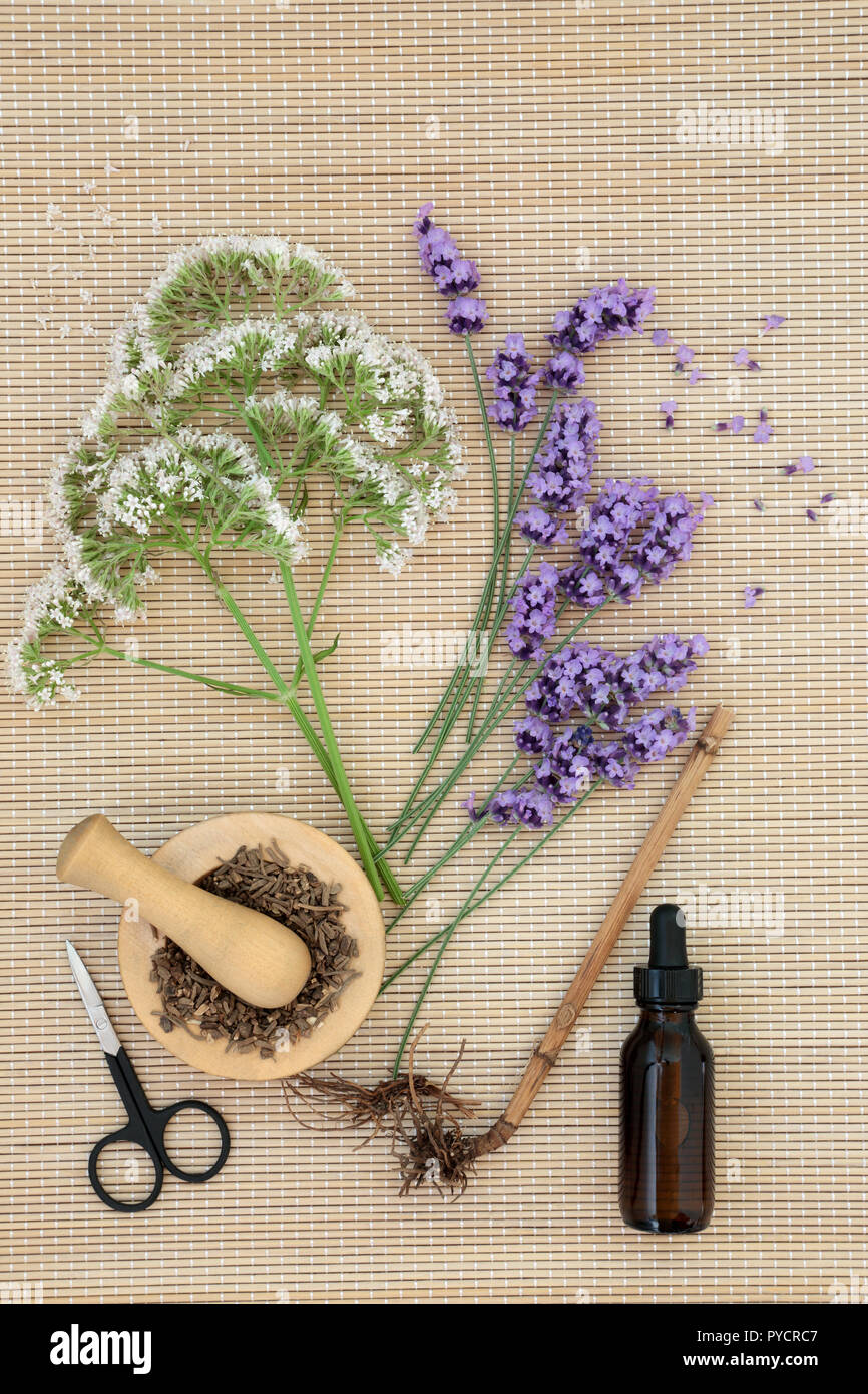 Lavanda e erbe Valeriana & olio essenziale bottiglia su sfondo di bambù. Usato in alternativa & tradizionale medicina di erbe. Foto Stock
