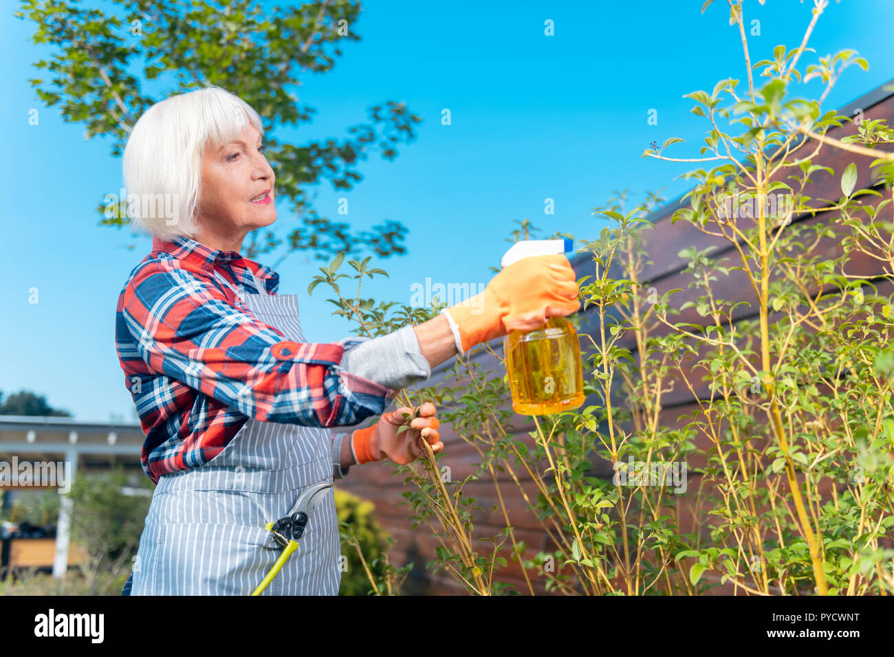 Bella Signora piacevole prendersi cura di piante Foto Stock