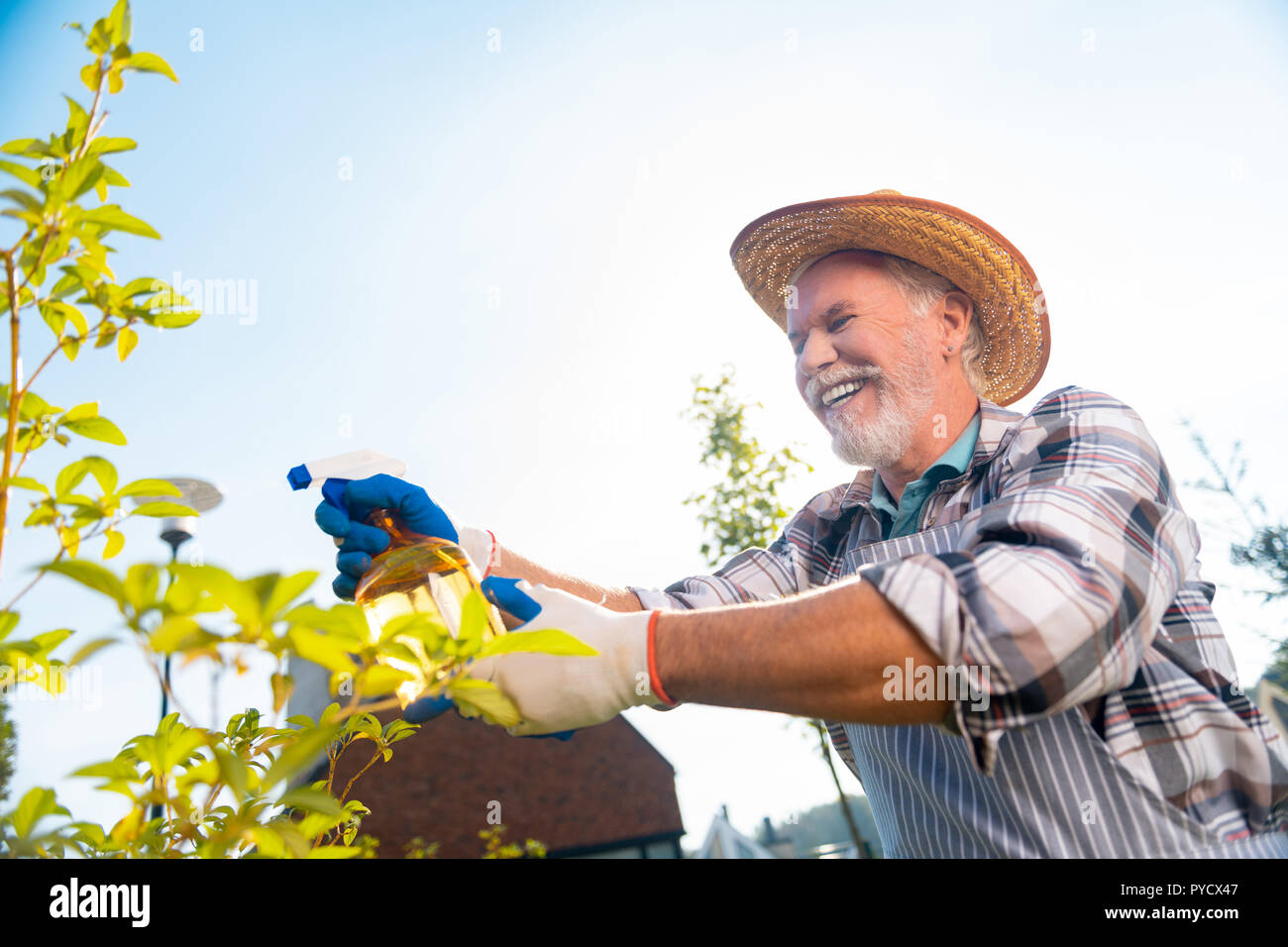 Allegro piacevole uomo prendersi cura di piante e alberi Foto Stock