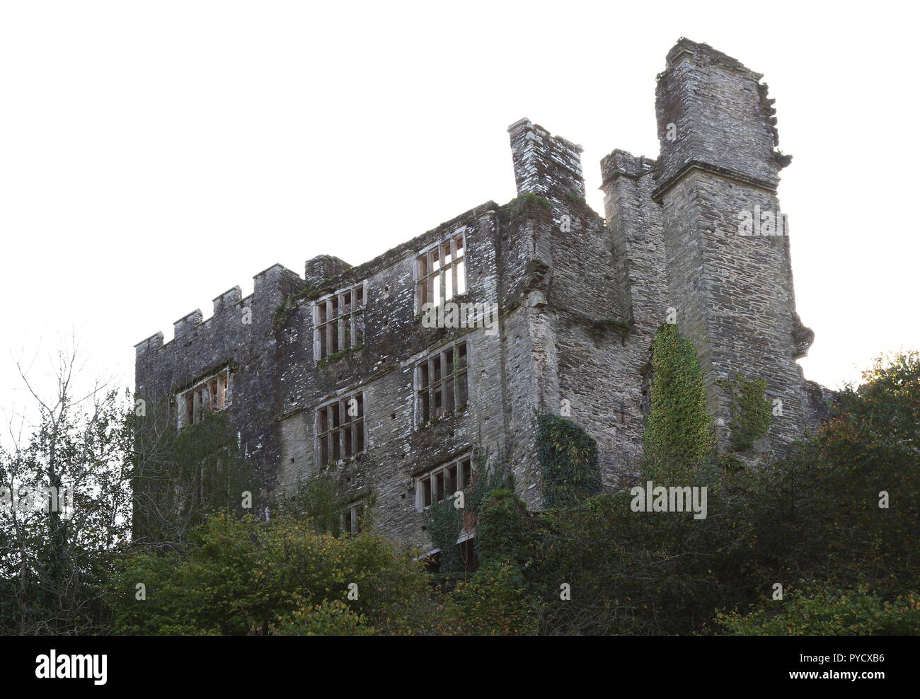 Berry Pomeroy Castello, Devon: Angolo basso, colpo esterno del castello Foto Stock