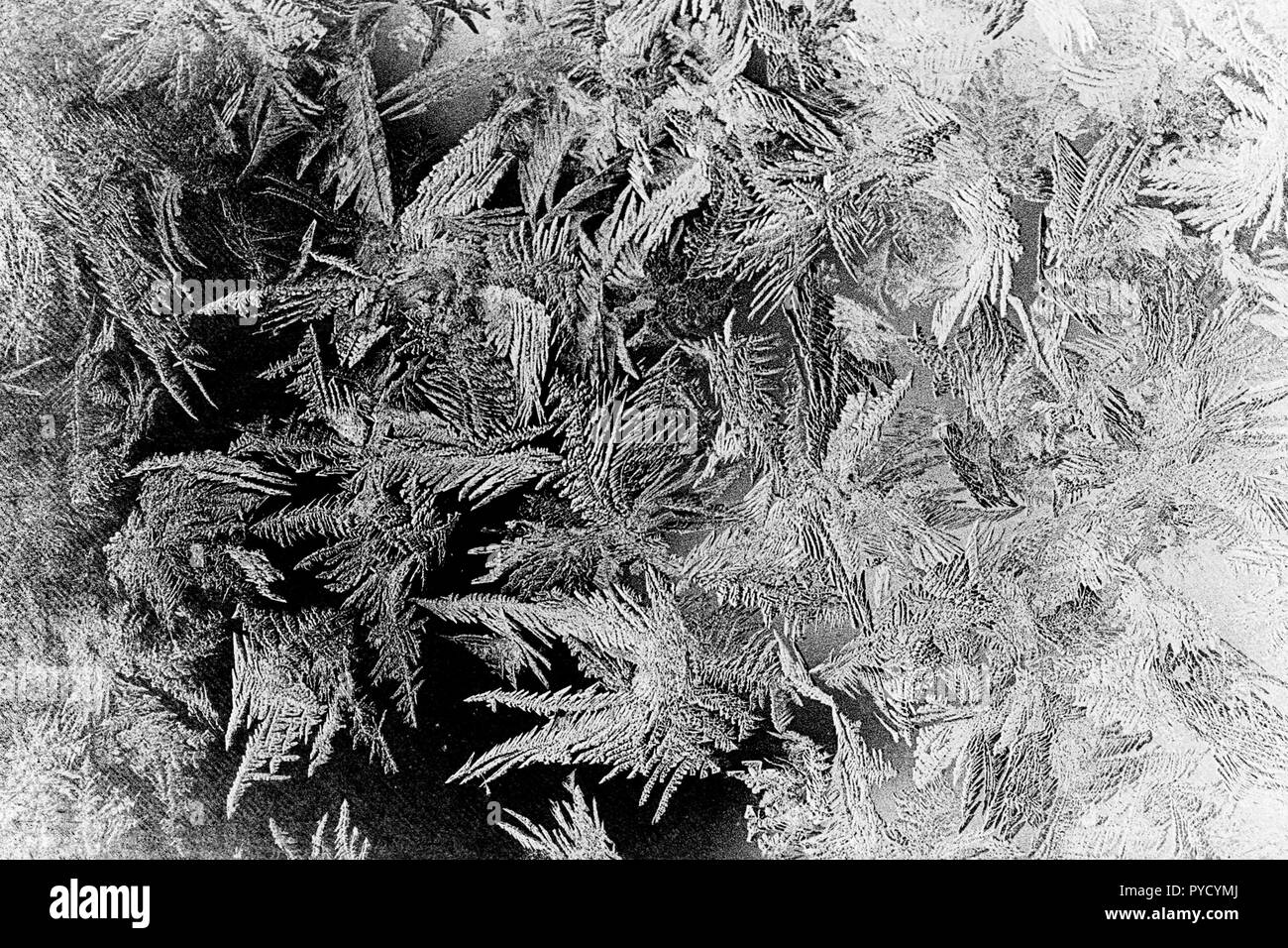 Inverno fiocchi di neve lucido sfocare lo sfondo in bianco e nero i colori. Sfocata vacanze di Natale sfondo con fiocchi di neve, frost pattern Foto Stock