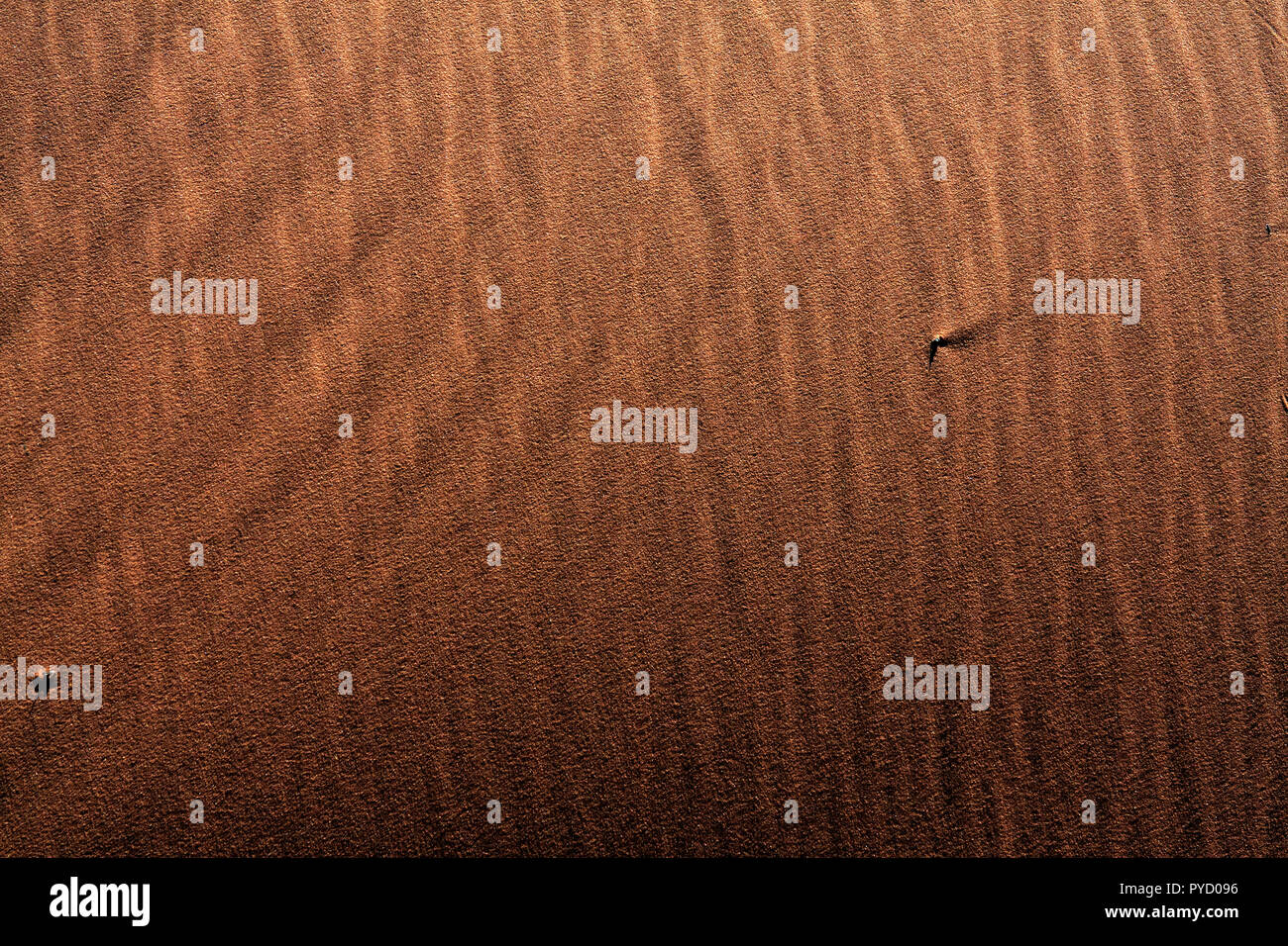 Texture in rosa corallo sabbia al Coral Pink Sand Dunes State Park in Utah. Soffiata dal vento modelli di sabbia Foto Stock