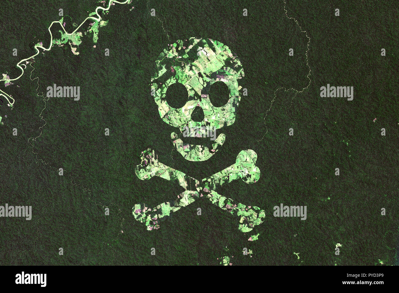 La forma del cranio nella foresta pluviale del Brasile - contiene Copernico modificati dati Sentinel Foto Stock