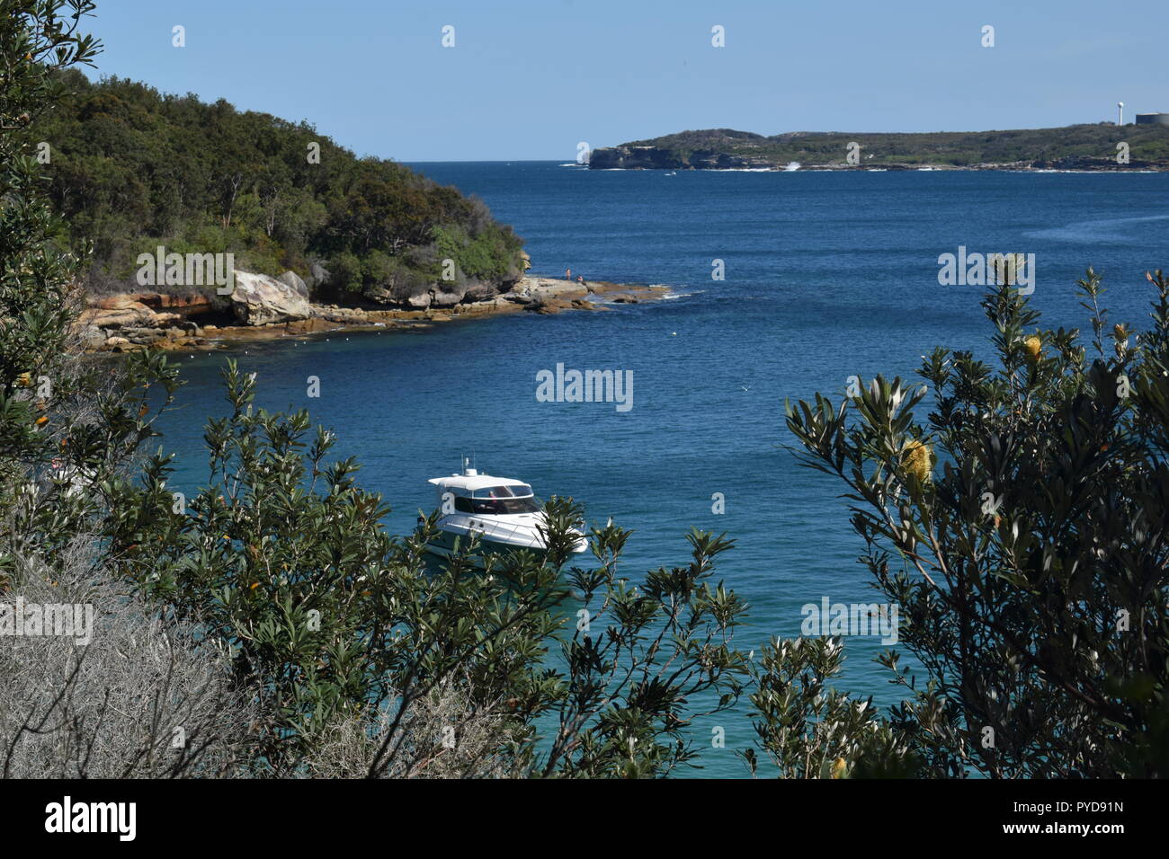 Passeggiata costiera di Sydney Foto Stock