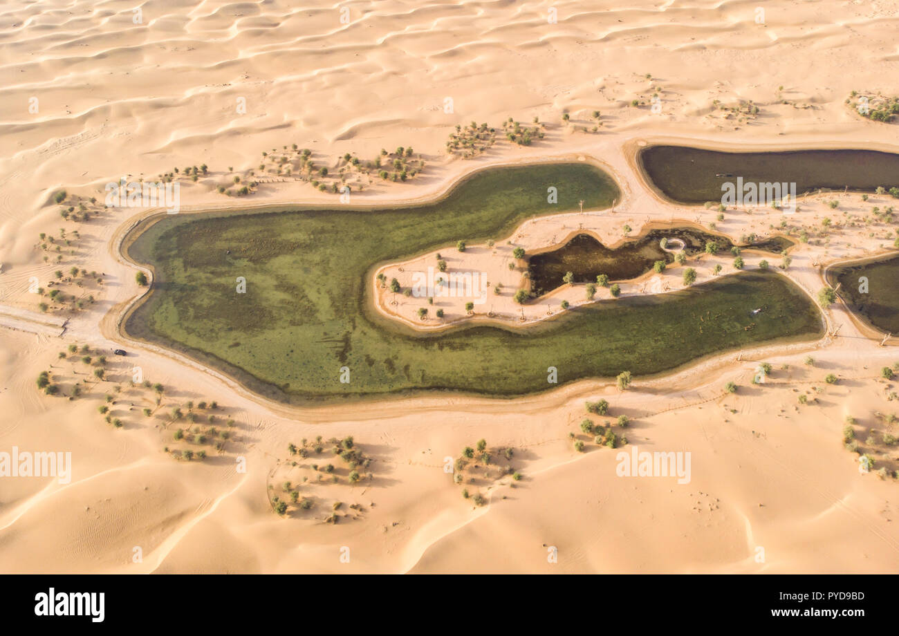 Vista aerea di Al Qudra laghi in un deserto vicino a Dubai Foto Stock